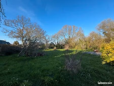 terrain constructible