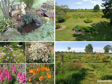 maison 150m² hab sur terrain 3000m²