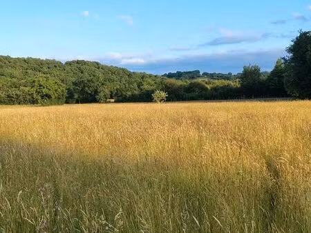 terrain constructible viabilisé 1.7 hectare