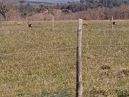 terrain agricole avec serre irrigation maraîchage projet agricole