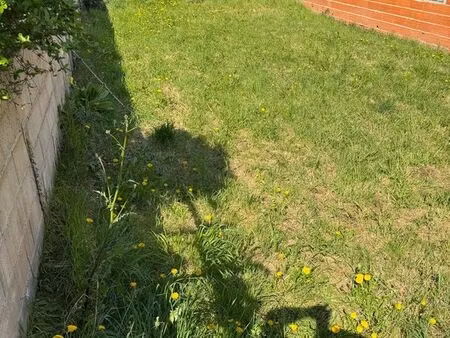 terrain constructible