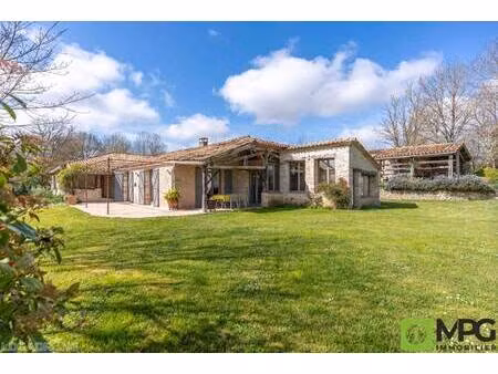 mpg immobilier