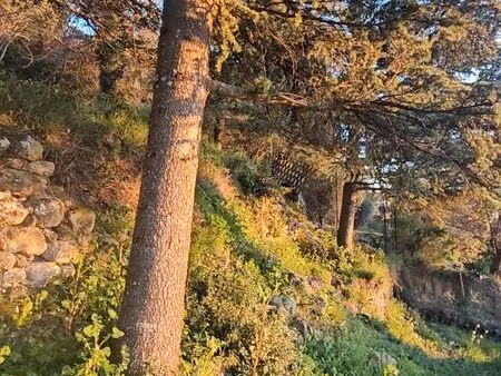 terrain uzès - 1km centre