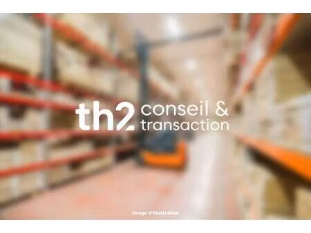 th2 ct