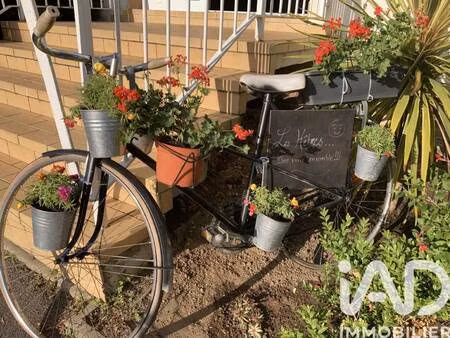 iad france patricia legait