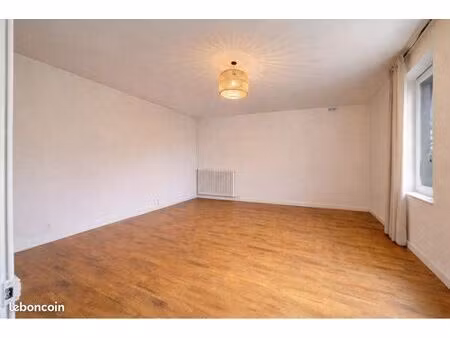 appartement plateau 52m2