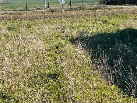 av terrain viabilisé