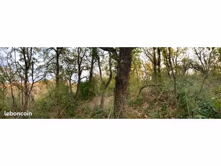 terrain boisé – corneilhan (proche béziers)