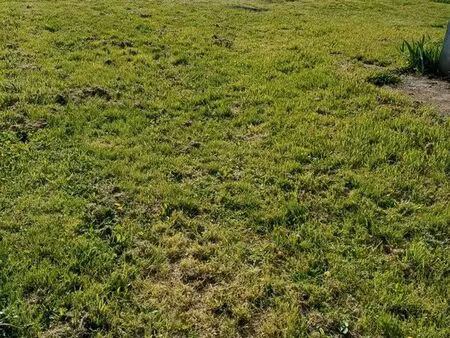 terrain à construire