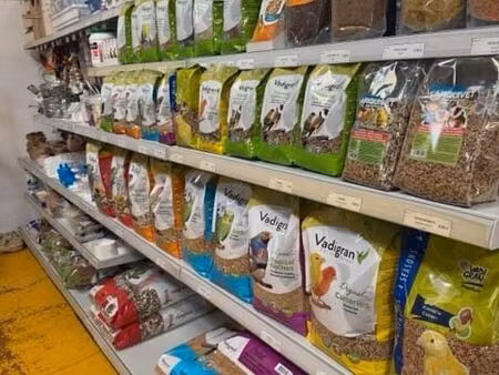 local animalerie 298 m²