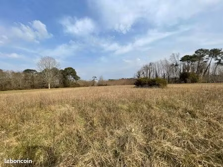 terrain 800 m² vertheuil