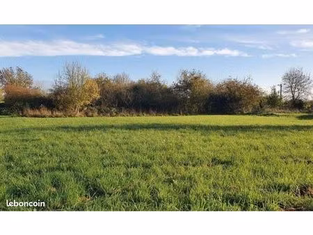 terrain 4000m2 saint andré de cubzac