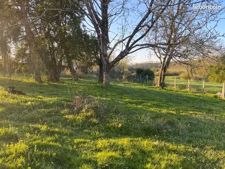 terrain bazas centre