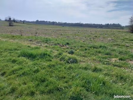 terrain 1 638 m² targon