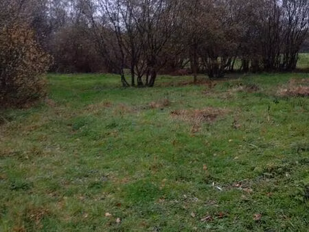 terrain 6500 m2 à lieuron