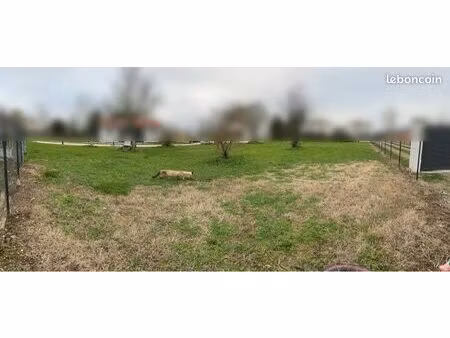 terrain constructible