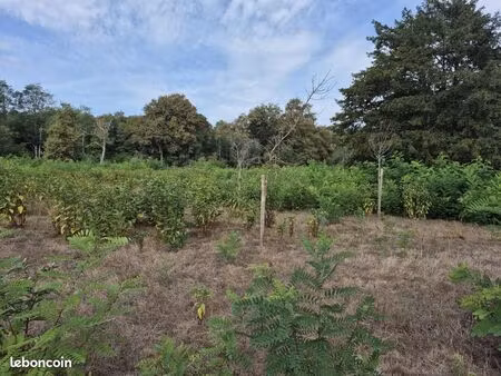 terrain 1 109 m² saint symphorien