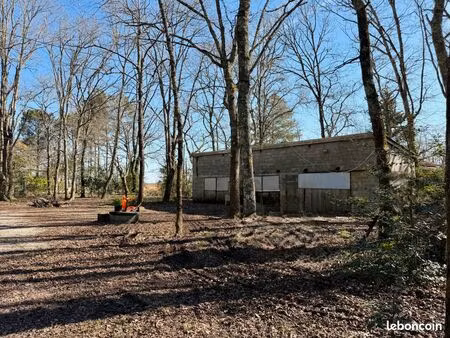 hangar de 90 m2 sur environ 1000 m2 de terrain arboré - zone naturelle non constructible  