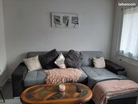 location t3 meublé 55 m2  lumineux proche du lycée pasteur