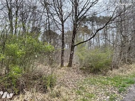 terrain 13000 m² st avertin