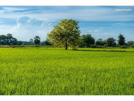 terrain 800 m² l ile bouchard