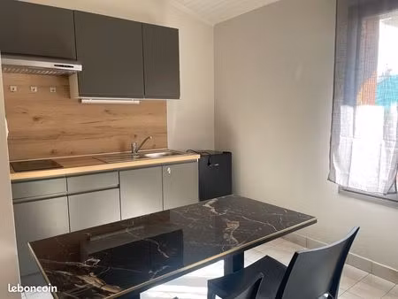 à louer grand studio meuble la tronche