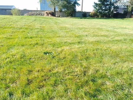 terrain 1 300 m² monnaie
