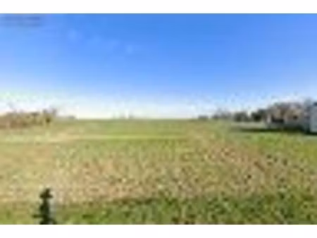 terrain constructible