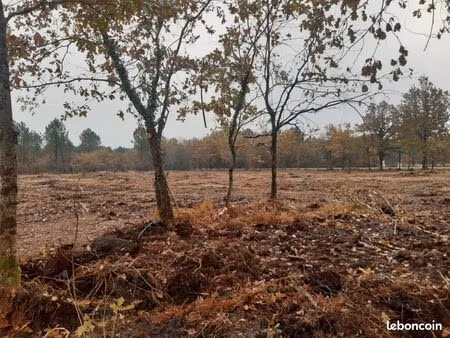 terrain 510 m² saint selve