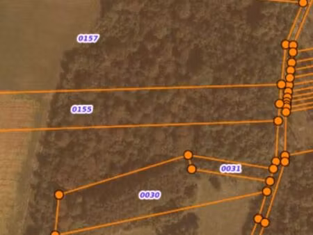 terrain boisé aoc côte du jura / macvin - crémant du jura