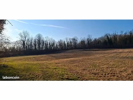 terrain avec abri chevaux