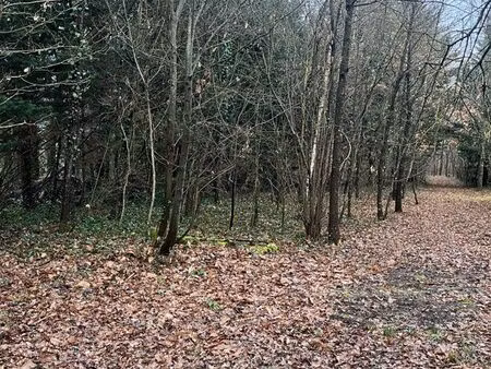 maison - terrain fort potentiel de construction