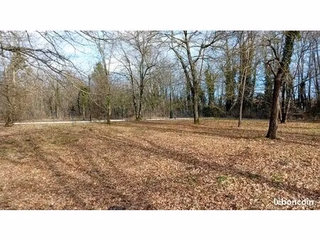 vente terrain de 992 m² ou 1147 m² viabilisé en eau