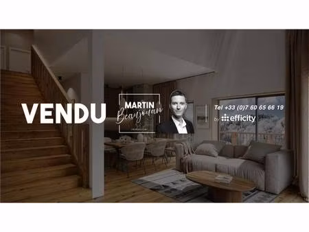 efficity martin beaujouan