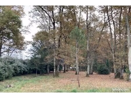 terrain 503 m² le taillan medoc