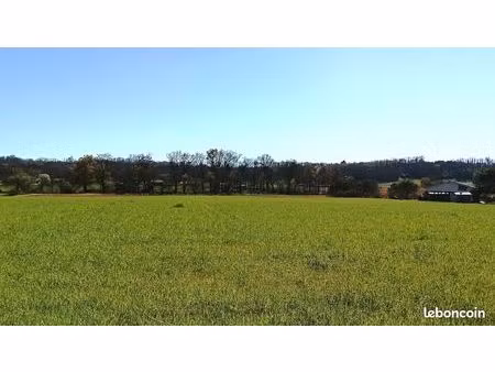 terrain 1 400 m² toulouzette