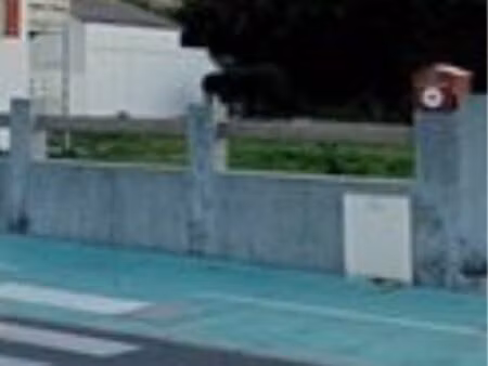 terrain clos et plat