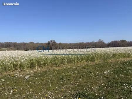 terrain 737 m² mimbaste