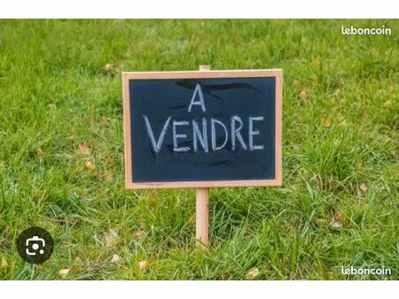 terrain constructible