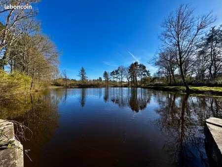 terrain langon sur cher
