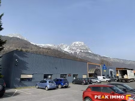 peak immobilier sallanches