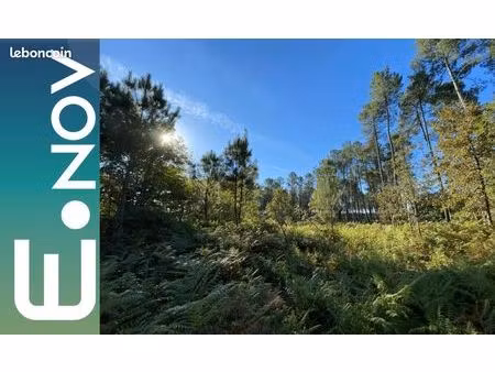 terrain 520 m² le teich