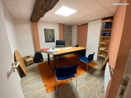 local professionnel 115 m²