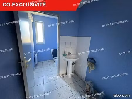 local d'activité 450 m²