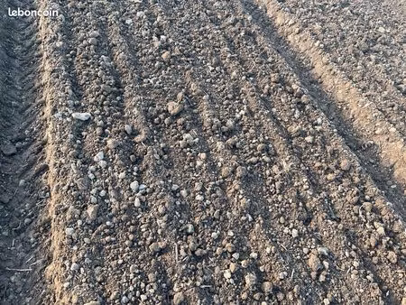 cherche terrain agricole