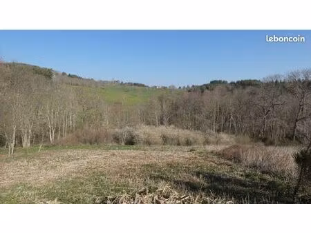 terrain avec ruisseau