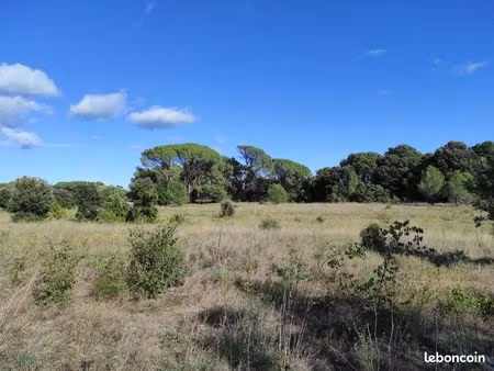 terrain agricole (à louer)
