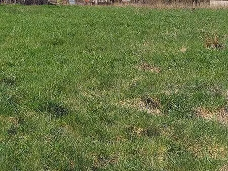 terrain 1.229 m² trelins