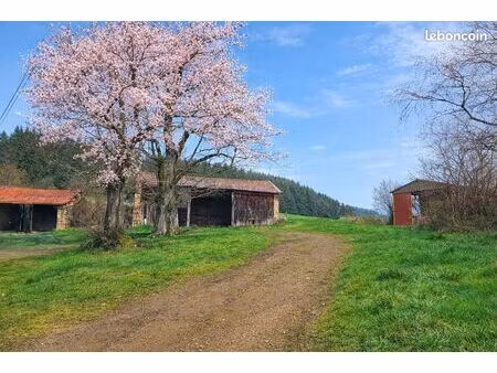 a renové grange en pierre  hangar sur 6800m2 de terrain