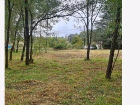 terrain 2167 m² ouzouer sur loire